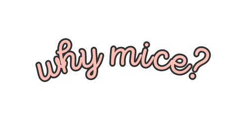 why mice